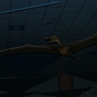 2008.06.03-065.JPG