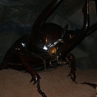 2008.06.03-067.JPG