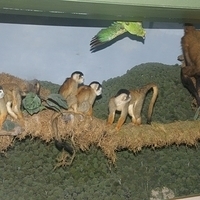 2008.06.03-082.JPG