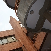 2008.03.29-002.JPG