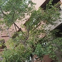 2008.03.29-003.JPG