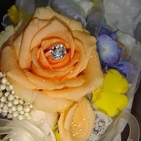 2008.12.05-001.JPG