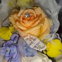 2008.12.05-004.JPG