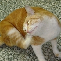 2008.02.07-001.JPG