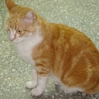 2008.02.07-002.JPG