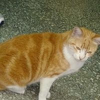 2008.02.07-003.JPG