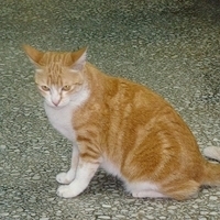 2008.02.07-004.JPG