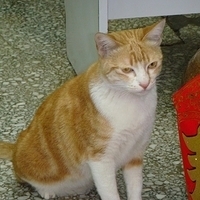 2008.02.07-005.JPG