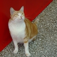 2008.02.07-006.JPG