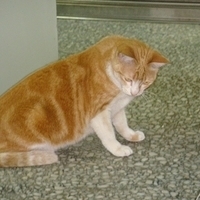 2008.02.07-007.JPG