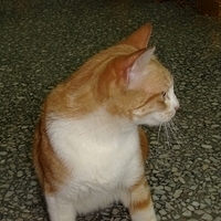 2008.02.07-008.JPG