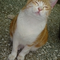 2008.02.07-009.JPG