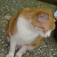 2008.02.07-010.JPG