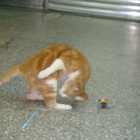 2008.02.07-011.JPG