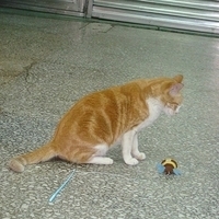 2008.02.07-012.JPG
