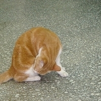 2008.02.07-013.JPG
