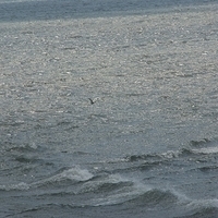 2008.05.14-039.JPG