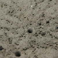 2008.05.14-063.JPG