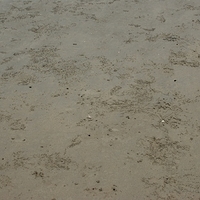 2008.05.14-064.JPG