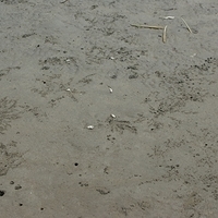 2008.05.14-065.JPG