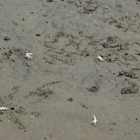2008.05.14-066.JPG