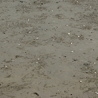 2008.05.14-067.JPG
