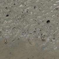 2008.05.14-106.JPG
