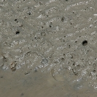 2008.05.14-107.JPG