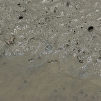 2008.05.14-108.JPG