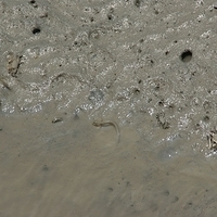 2008.05.14-109.JPG