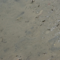 2008.05.14-110.JPG