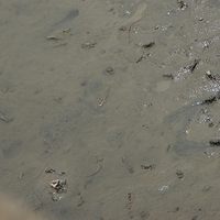2008.05.14-111.JPG