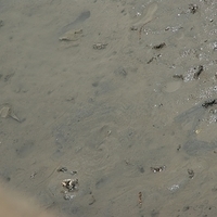 2008.05.14-112.JPG