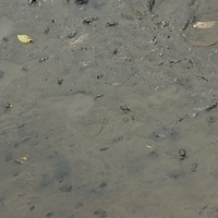 2008.05.14-113.JPG
