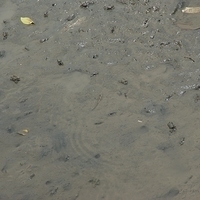 2008.05.14-114.JPG