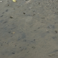 2008.05.14-115.JPG