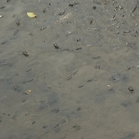 2008.05.14-116.JPG