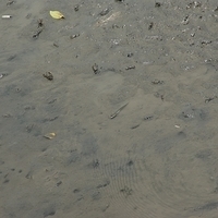 2008.05.14-117.JPG