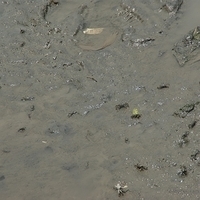 2008.05.14-118.JPG