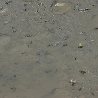 2008.05.14-120.JPG