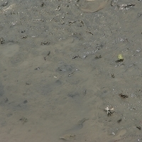 2008.05.14-121.JPG