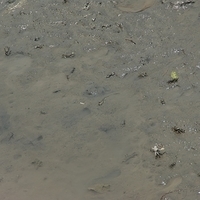 2008.05.14-122.JPG