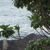 2008.01.05-002.JPG