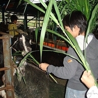 2008.01.05-019.JPG