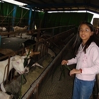 2008.01.05-023.JPG
