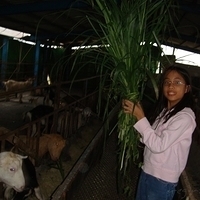 2008.01.05-024.JPG