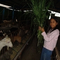 2008.01.05-025.JPG
