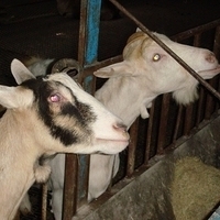 2008.01.05-026.JPG