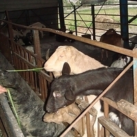 2008.01.05-027.JPG