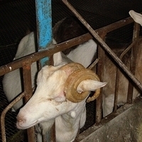 2008.01.05-028.JPG